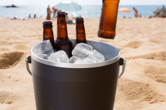 MT21-ice bucket