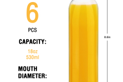 Elengic-GB19-18-Glass-Water-Bottle-14