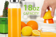 Elengic-GB19-18-Glass-Water-Bottle-55