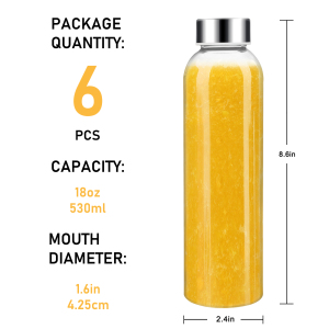Elengic-GB19-18-Glass-Water-Bottle-59